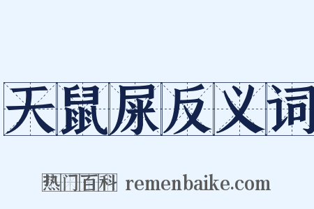 天鼠屎反义词是什么意思的图片